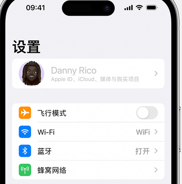 怀集appleID维修服务iPhone设置中Apple ID显示为灰色无法使用 