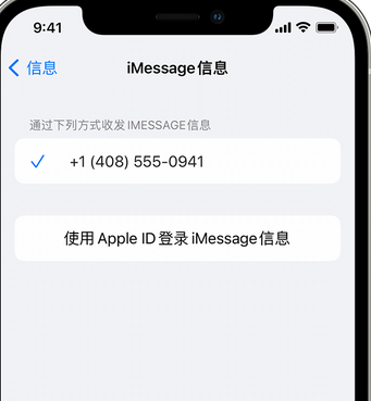 怀集apple维修iPhone上无法正常发送iMessage信息 