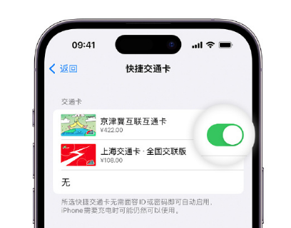 怀集apple维修点分享iPhone上更换Apple Pay快捷交通卡手绘卡面 