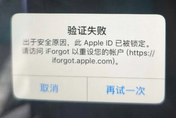 怀集iPhone维修分享iPhone上正常登录或使用AppleID怎么办 