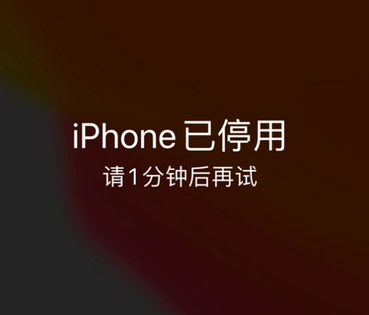 怀集苹果手机维修分享:iPhone 显示“不可用”或“已停用”怎么办？还能保留数据吗？ 