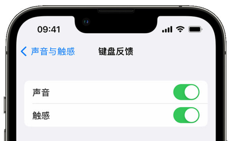 怀集苹果手机维修分享iPhone 14触感键盘使用方法 