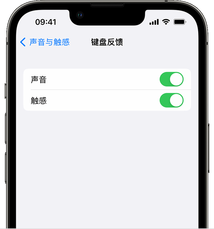 怀集苹果14维修店分享如何在 iPhone 14 机型中使用触感键盘 