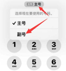 怀集苹果14维修店分享iPhone 14 Pro Max使用副卡打电话的方法 