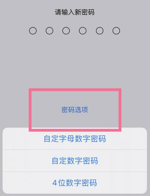 怀集苹果14维修分享iPhone 14plus设置密码的方法 