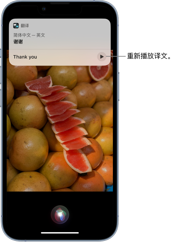 怀集苹果14维修分享 iPhone 14 机型中使用 Siri：了解 Siri 能帮你做什么 